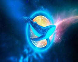 نهنگ ارز دیجیتال کیست و اهمیت ردیابی رفتار آن